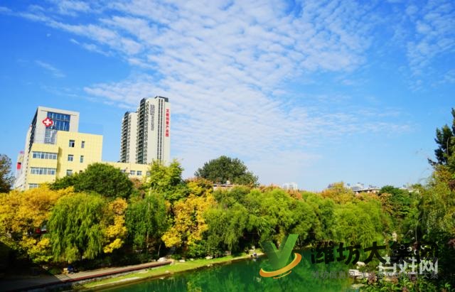 陽(yáng)光100鳳凰社四室兩廳兩衛(wèi)住宅164平南北通透