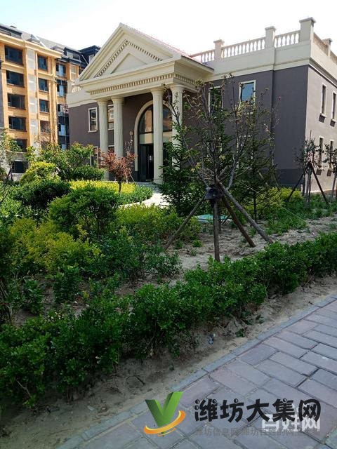 特價房！首付僅需10萬 濰城區政府旁電梯洋房134